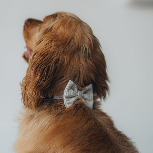 Brown Tweed Bow Tie